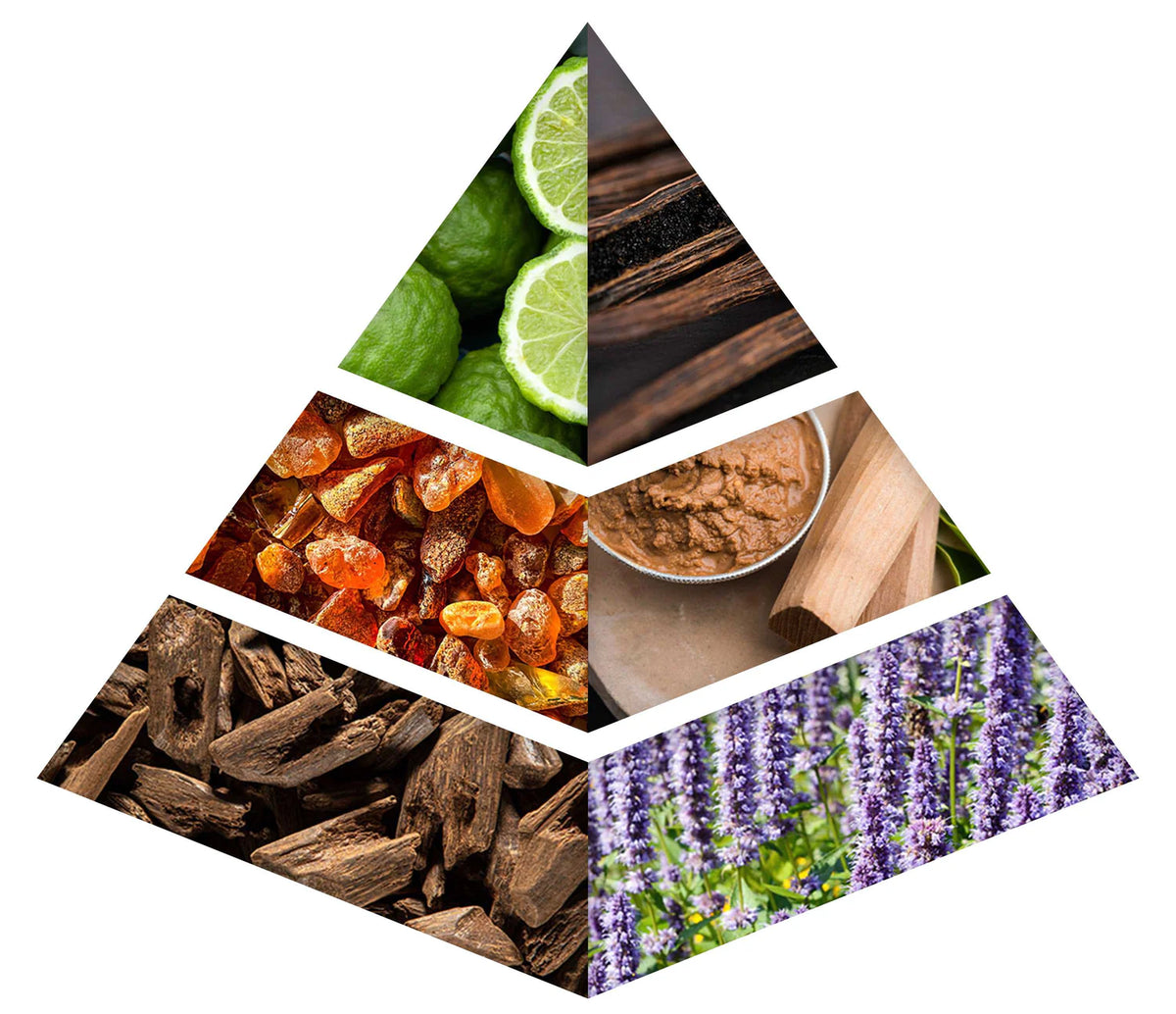 Fragrance Notes