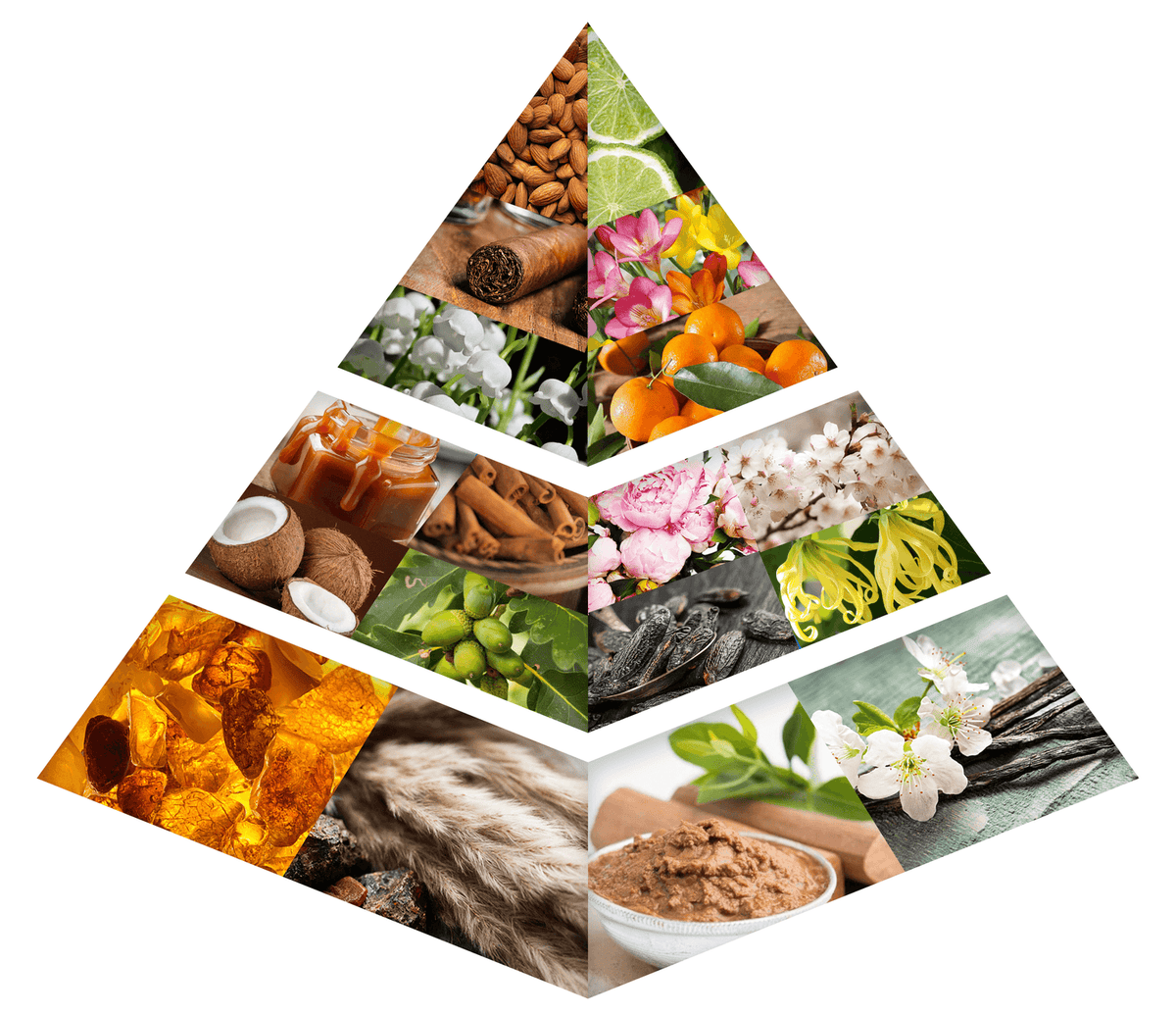 Fragrance Notes