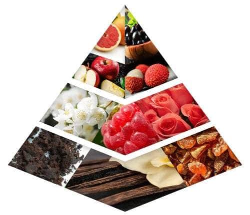 Fragrance Notes